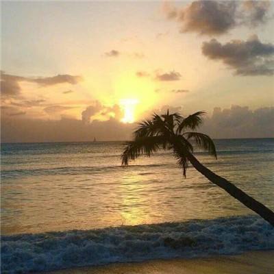 永盈会手机版手机app下载