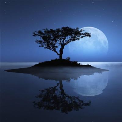 ayx体育在线登录手机app下载