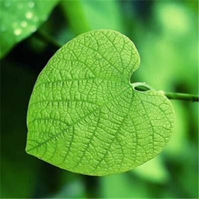 澳门mgm娱乐官网app下载